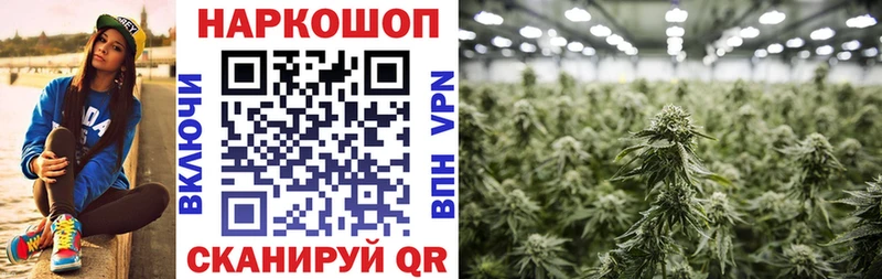 Где найти наркотики Мурманск СК Каннабис Кокаин гидра ссылка ГАШ МЕФ
