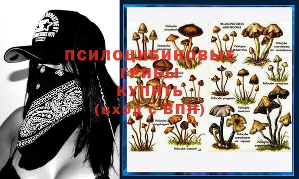 не бодяженный Навашино