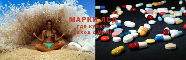 спиды Щигры