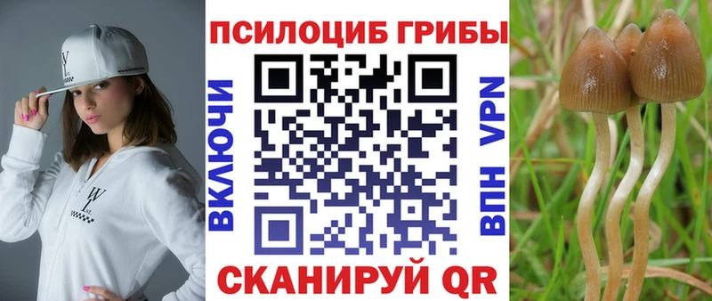 как найти закладки  это Telegram  Псилоцибиновые грибы ЛСД  Мурманск 