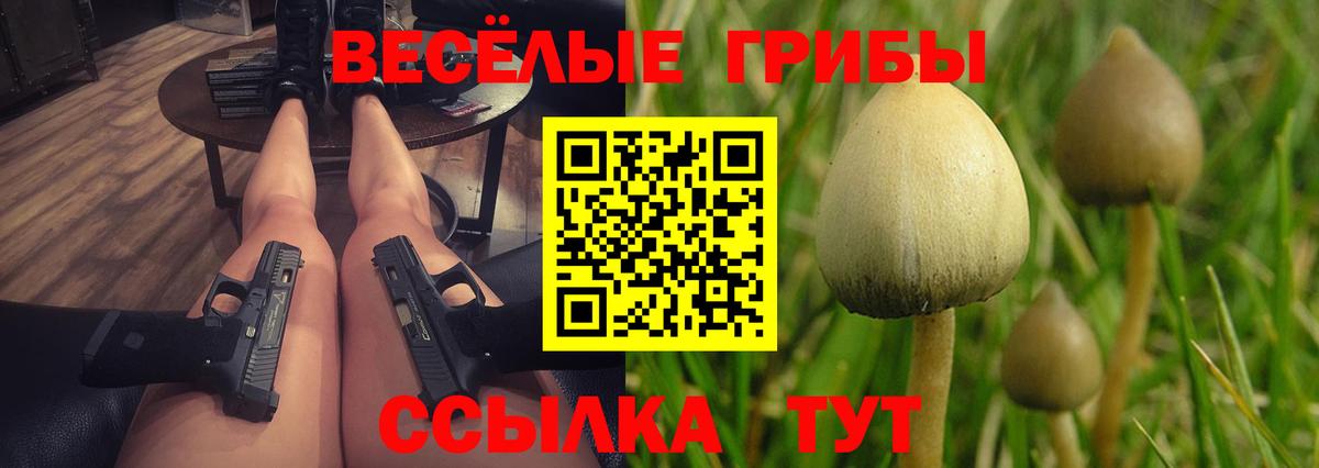 Псилоцибиновые грибы Cubensis Мурманск
